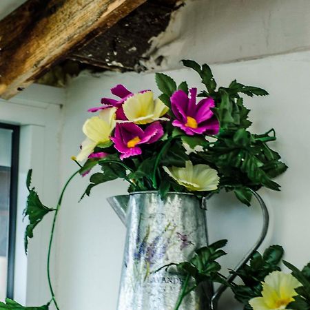 Off Vitosha Blvd Designer Studio Sofia Zewnętrze zdjęcie